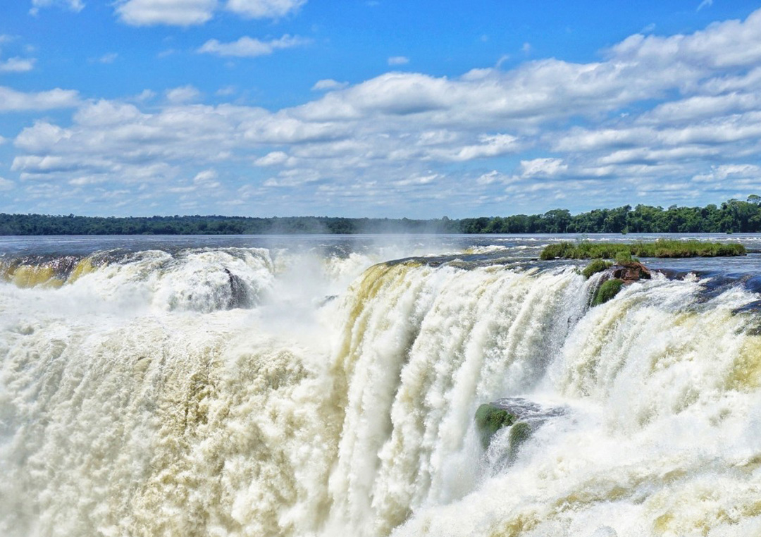 Iguazu Falls National Park: A Natural Paradise Teeming with Wildlife